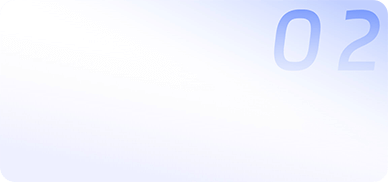 海鸥加速器官网：稳定高速体验，畅享网络新速度